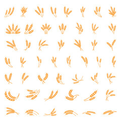 Symbols. for logo design Wheat. Agriculture, corn, barley, stalks, organic plants, bread, food natural harvest vector illustration on white background isolated
