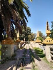 camino sobre el puente