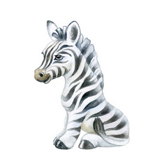 Fototapeta na wymiar Cute zebra isolated on white background. Zebra baby. African animals. Safari. Illustration. Template. Hand drawn. Greeting card design. Clip art.