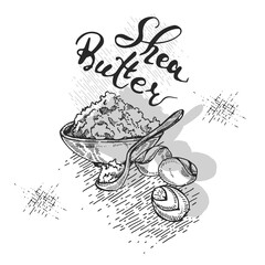 Composition with branch Shea tree with fruits, nuts, leaves and Shea butter, vector botanical illustration. For cosmetics, medicine, aromatherapy.