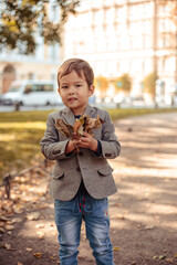 Little boy wearing stylish casual clothes walks in a park. Autumn time, yellow trees