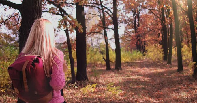 Blond middle age woman with red backpack walks in the forest . Healthy vacation. Outdoor lifestyle. Beautiful sunny day. High quality 4k footage