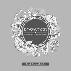 Frame with cut of a Rosewood and twigs with flowers and buds . Detailed hand-drawn sketches, vector botanical illustration.