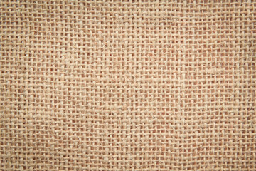 Brown sackcloth texture or background and empty space.