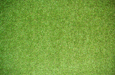 Fototapeta na wymiar grass texture for background