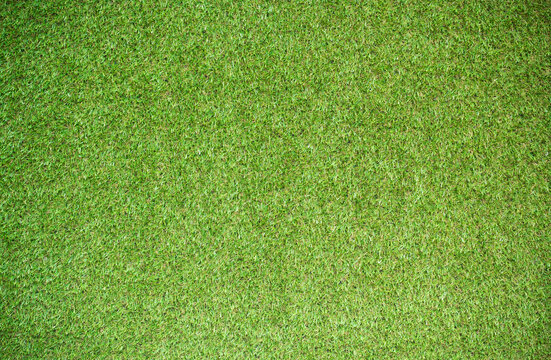 grass texture for background
