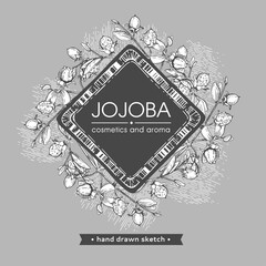Frame with Jojoba branches with fruits and flowers, leaves. Fruit jojoba in a peel and without . Detailed hand-drawn sketches, vector botanical illustration.