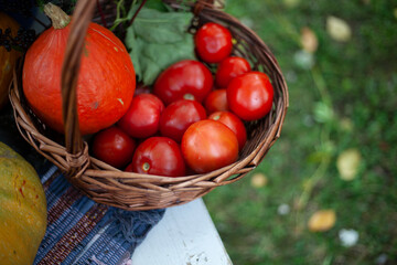 Harvest from the garden. Do-it-yourself vegetables. 