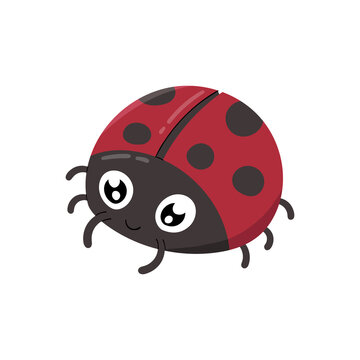 Cute ladybugs isolated