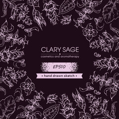 Background filled with Clary sage twigs with leaves and flowers and with empty circle inside. Detailed hand-drawn sketches, vector botanical illustration.