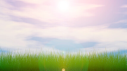 Fototapeta na wymiar Green Grass, Blue Sky with a Clouds and Sun. 3D Render