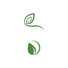 Leaf Logo Template vector symbol