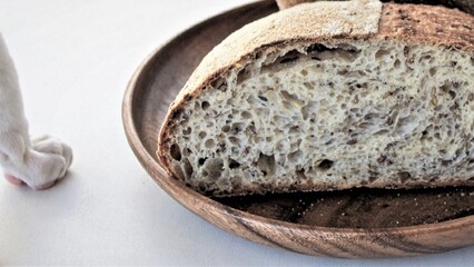 Homemade bread with sesame (and kitten)