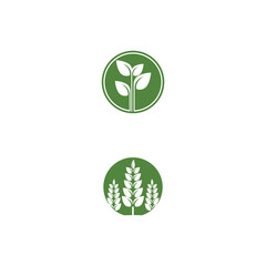 Leaf Logo Template vector symbol