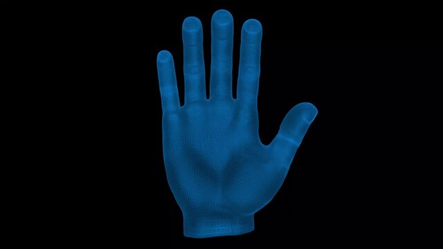 Hand 3d wireframe with thin blue lines. Anatomical futuristic hologram on black background. Loop animation