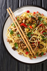 Chinese eggplant with minced pork served with egg noodles close-up in a plate on the table. vertical top view from above