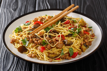 Egg noodles with fried eggplant and minced pork close-up in a plate on the table. horizontal