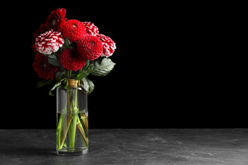Beautiful dahlia flowers in vase on table against black background. Space for text