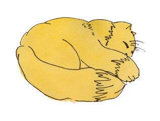 Sleeping yellow cat. Cat with long thick fur lies on the floor. Yellow watercolors with black liner. Cut out.