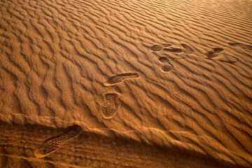 Close up human steps, shoes sole footprints and quad buggy wheel track at desert safari sand in Dubai 