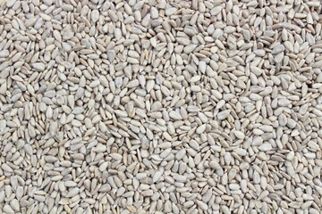 Sonnenblumenkerne zum Vögel füttern