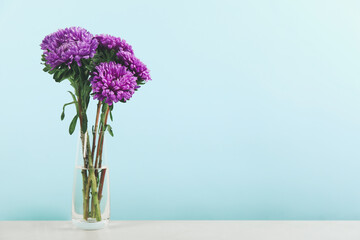 Beautiful asters in vase on table against light blue background, space for text. Autumn flowers