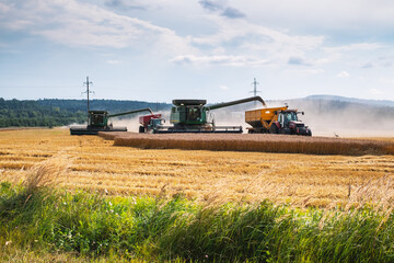 Fototapeta premium Harvesting wheat in autumn field. A modern tractor stands directly next to the harvester combine and transports wheat grain