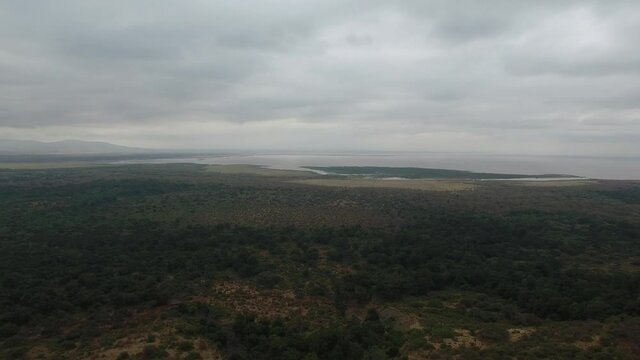 Lake Manyara and the green plains around the lake, aerial shot in Tanzania