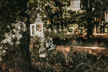 Outdoor Wedding Decoration Lanterns Hanging Beneath A Tree 