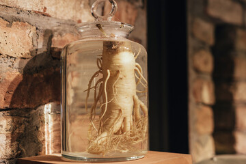 ginseng root in the glass bottle
