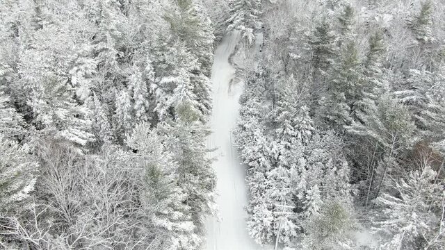 Aerial video following a winding snowy road through the woods after heavy snowfall