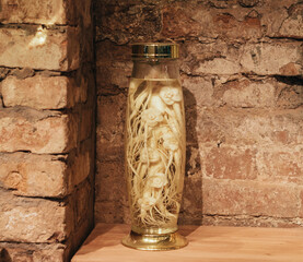 ginseng root in the glass bottle