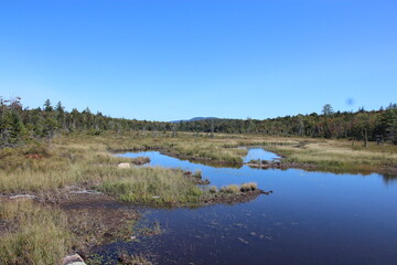 A small lake in the Adirondack mountains 