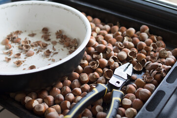 Peeled and humble hazelnuts with pliers