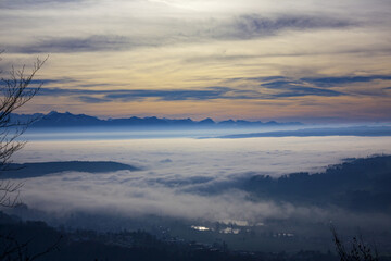 clouds over the forest