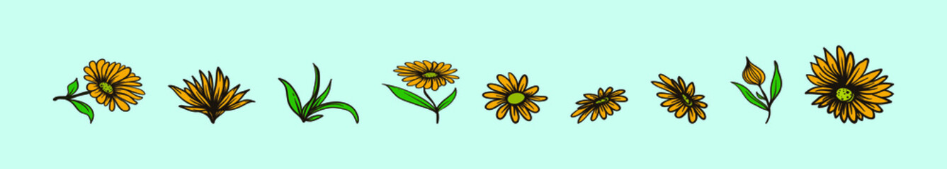 set of calendula flowers cartoon icon design template with various models. vector illustration isolated on blue background