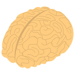 
Human brain icon isolated on white background 
