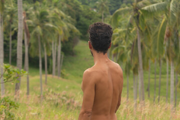 Hombre, naturaleza, verde, palmeras, cocoteros, cocos, moreno, sin camiseta, chico, espalda, barba, tailandia, isla, campo, montaña, viajero, mirada, retrato, masculino, paisaje, hojas, viento, 