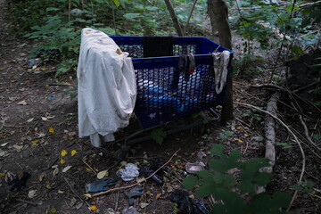 Sept 23, 2020 Shopping cart found in Prospect Park, Brooklyn, New York City, USA.