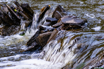 A small natural waterfall in the forest, among stones, branches and logs. There is a lot of green vegetation and moss around. The murmur of a pure natural stream flowing down to the source