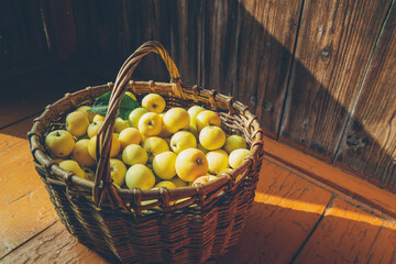 green apples in a knitted basket on a wooden background