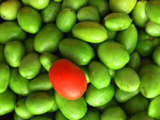 green tomatoes lie in a plate, tomatoes on a white background. red tomato
