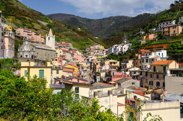 Naklejka premium View of Village Riomaggiore - Cinque Terre, Liguria, Italy