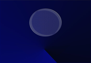 blue moon in the night