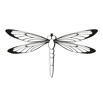 Silhouette dragonfly black pattern icon isolated on white background. Easy to scale to any size. Sign, Symbol, Logo. Vector illustration.