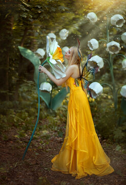 Fantasy woman blonde forest fairy. Fashion model in a long yellow dress with butterfly wings holds in hand and smell large flower narcissus. Scenery white lilies of the valley. Sun rays light magic 