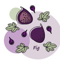 Vector hand drawing with decoration of fruits and berries. Poster healthy food concept for farmers market menu design. Postcard, banner, invitations, flyers for organic, natural juice with watercolor 