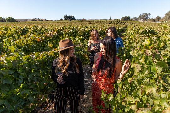 Women Walk Through Vineyard