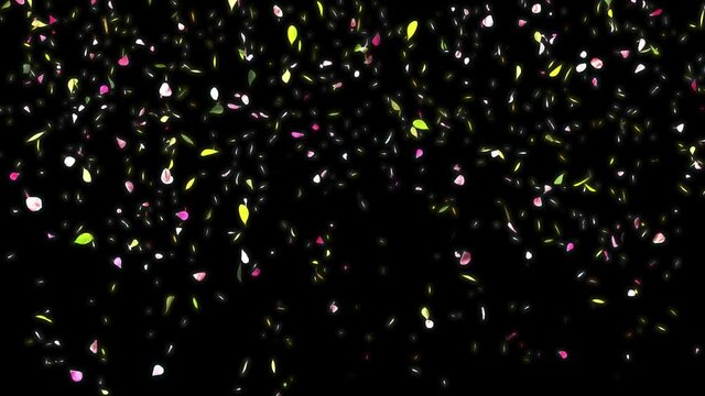 Pluie de p&eacute;tales