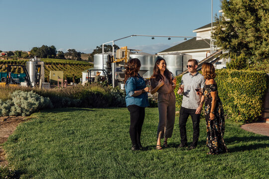 Four Friends Taste Wine at a Vineyard